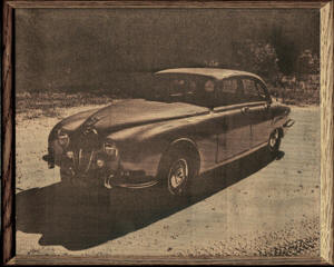 Jaguar